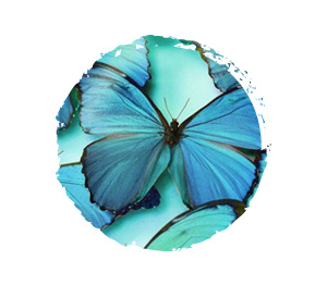 Color Your World - Blue. Butterfly.