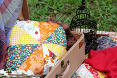 Indie Picnic Pillows