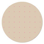 HYN49607 Curiosities Daytime