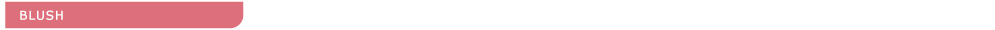Essentials II - Blush Palette